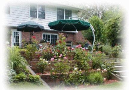 Dorchester House Bed & Breakfast Niagara Falls Exterior photo