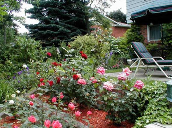 Dorchester House Bed & Breakfast Niagara Falls Exterior photo